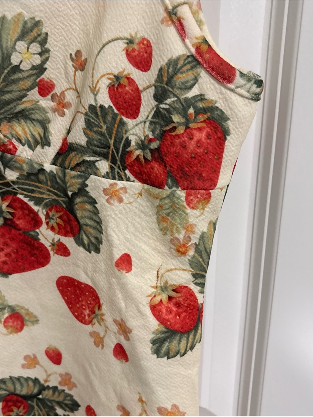 Cider Mini Dress Medium Strawberry Lace 32’L 17’ PTP - Picture 3 of 6
